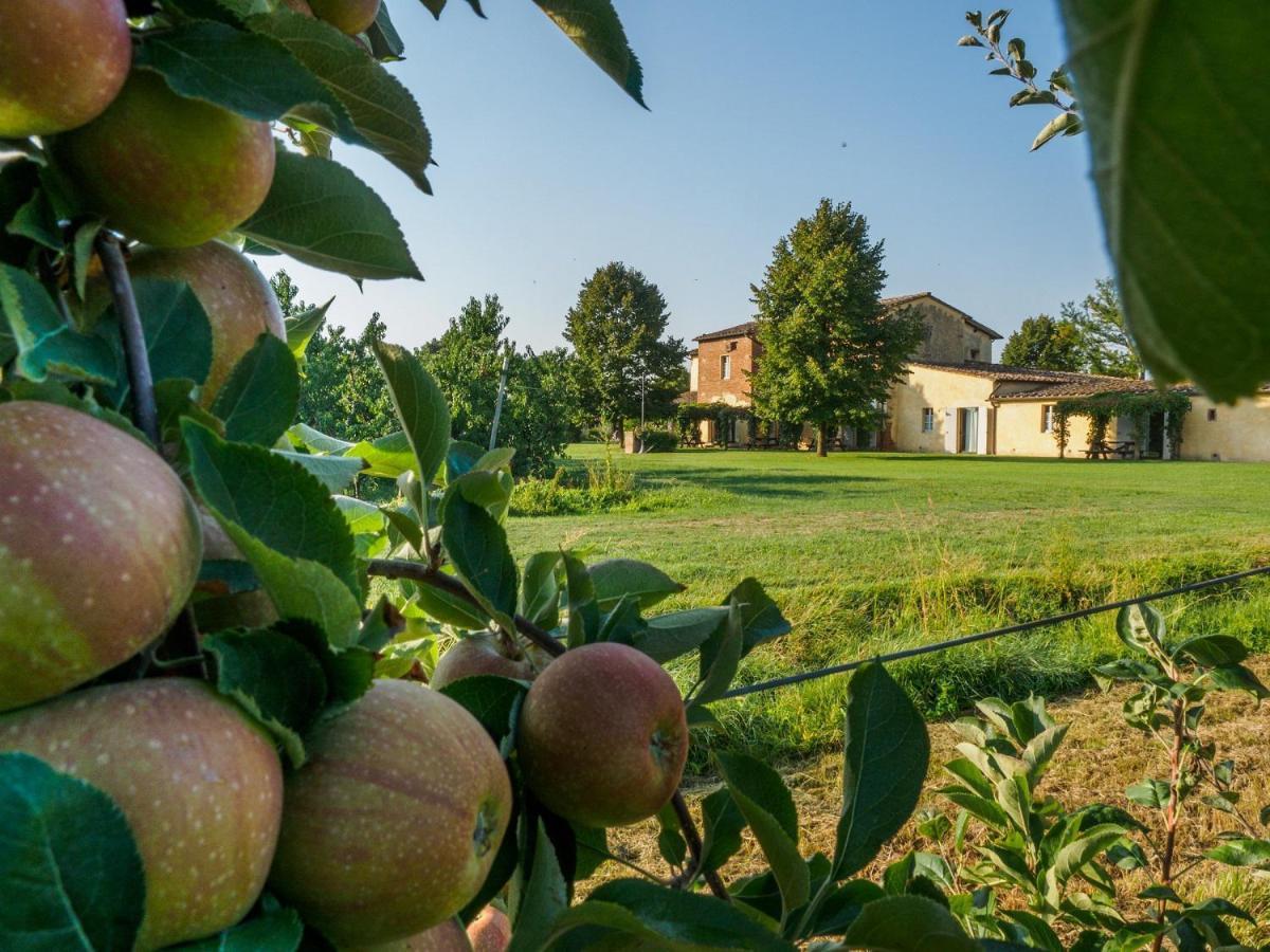 Foresteria Il Giardino Di Fontarronco Alberoro Exteriér fotografie