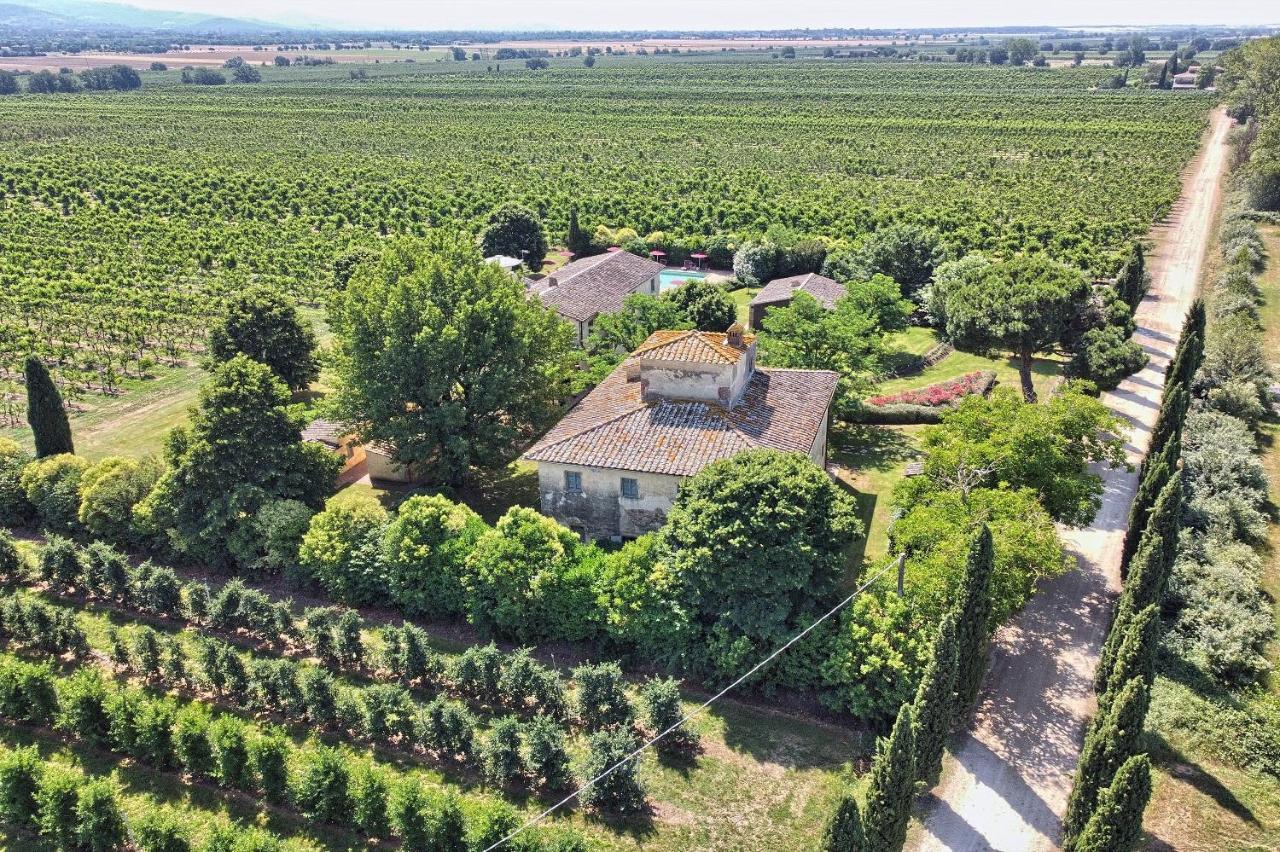 Foresteria Il Giardino Di Fontarronco Alberoro Exteriér fotografie