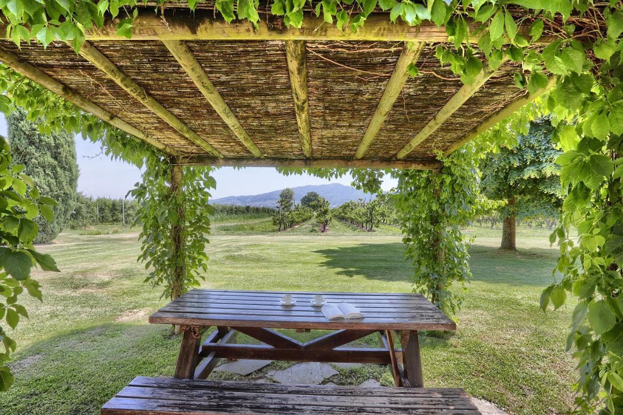 Foresteria Il Giardino Di Fontarronco Alberoro Exteriér fotografie
